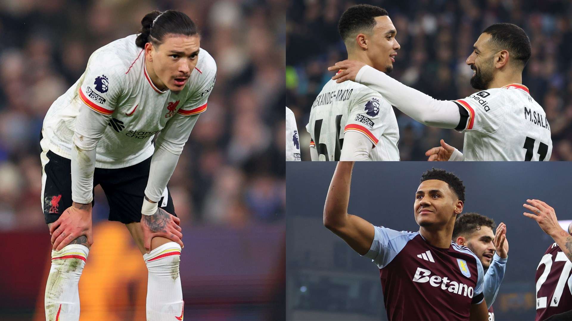 贡献的机会 贡献的机会